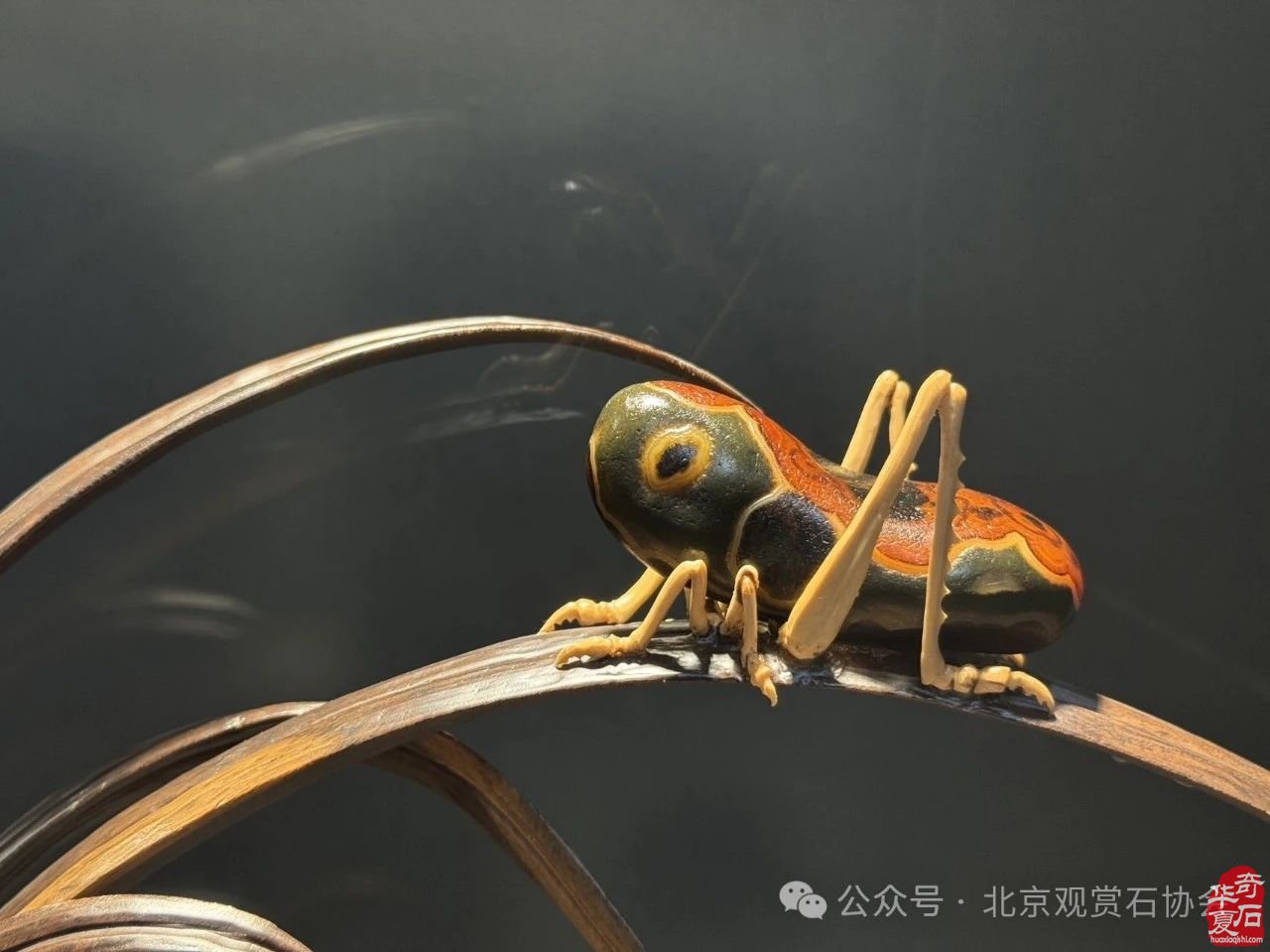2024中国·湾区陈村名石艺术展隆重开幕