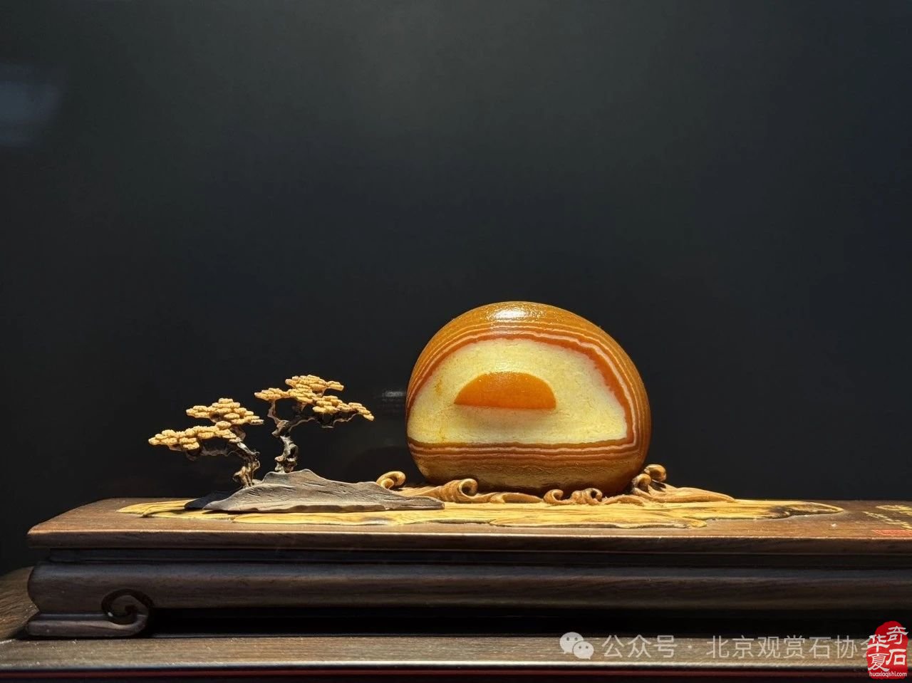 2024中国·湾区陈村名石艺术展隆重开幕