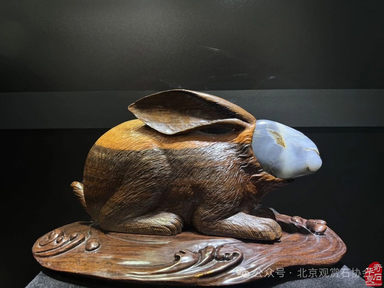 2024中国·湾区陈村名石艺术展隆重开幕