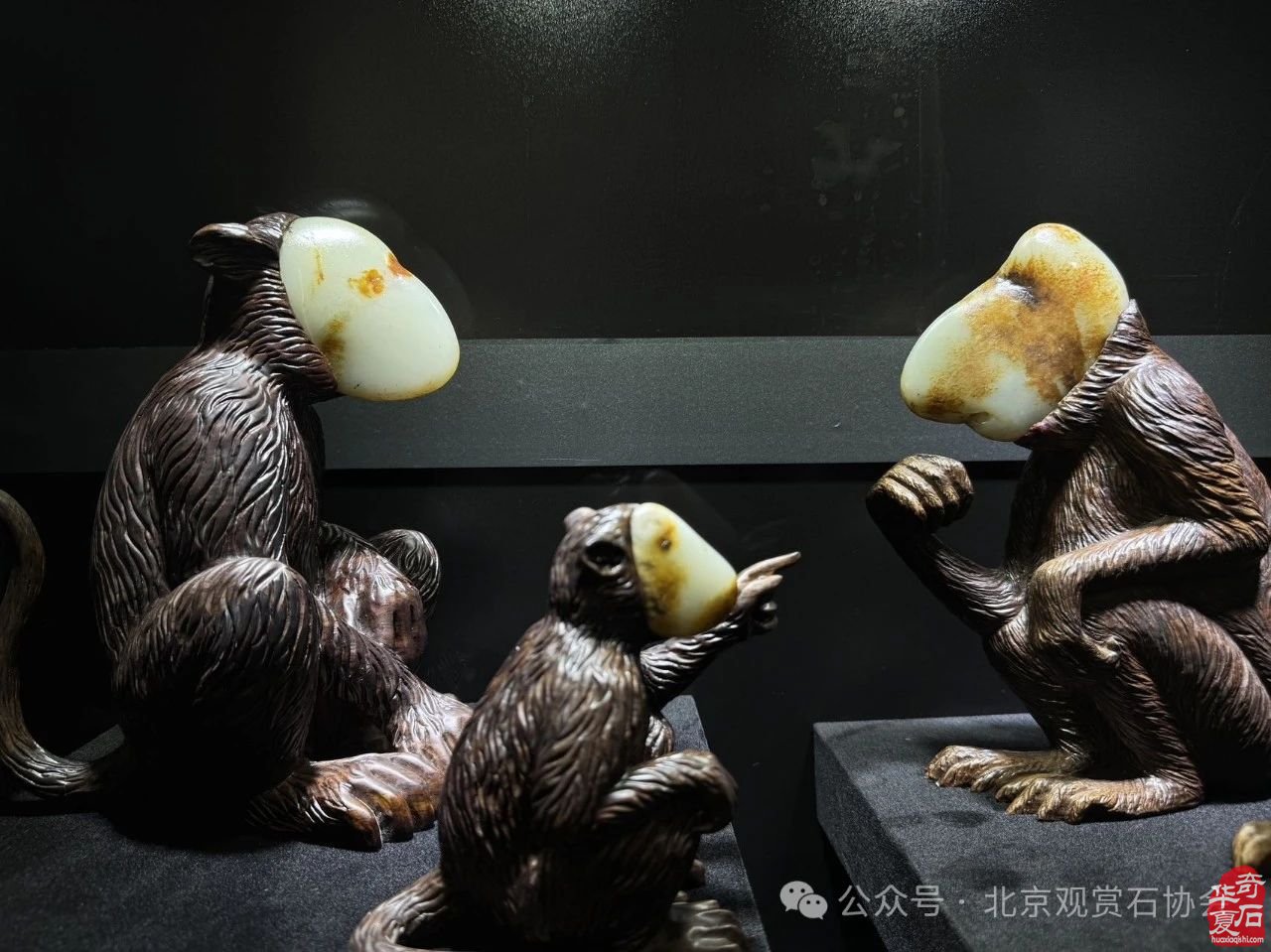 2024中国·湾区陈村名石艺术展隆重开幕