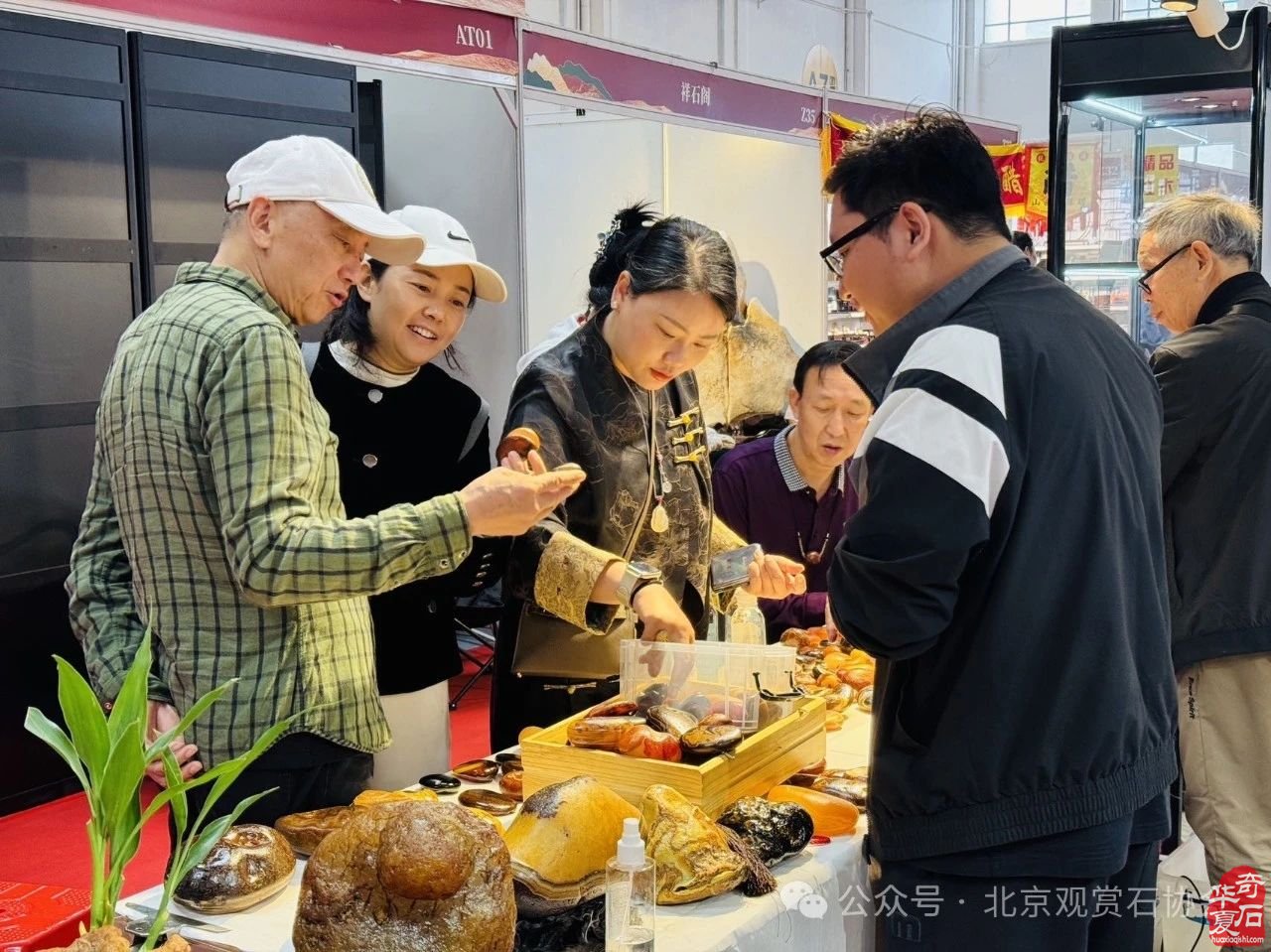 2024中国·湾区陈村名石艺术展隆重开幕