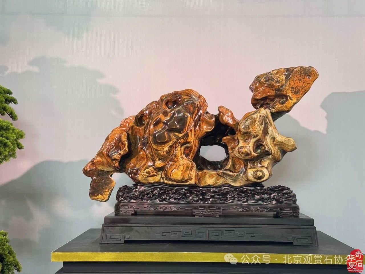 2024中国·湾区陈村名石艺术展“石魂”奖金奖欣赏