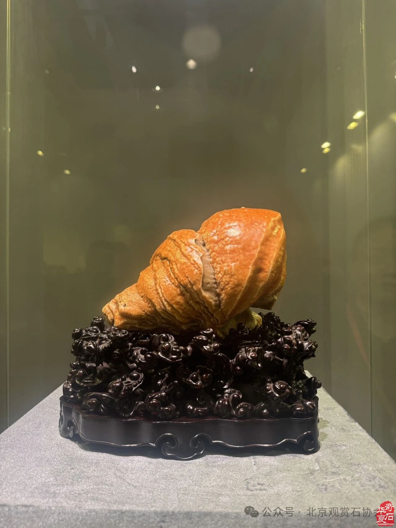 2024中国·湾区陈村名石艺术展“石魂”奖金奖欣赏