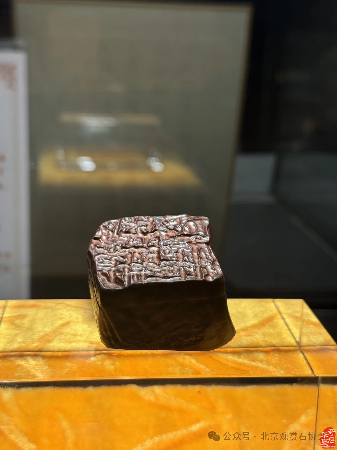 2024中国·湾区陈村名石艺术展“石魂”奖金奖欣赏