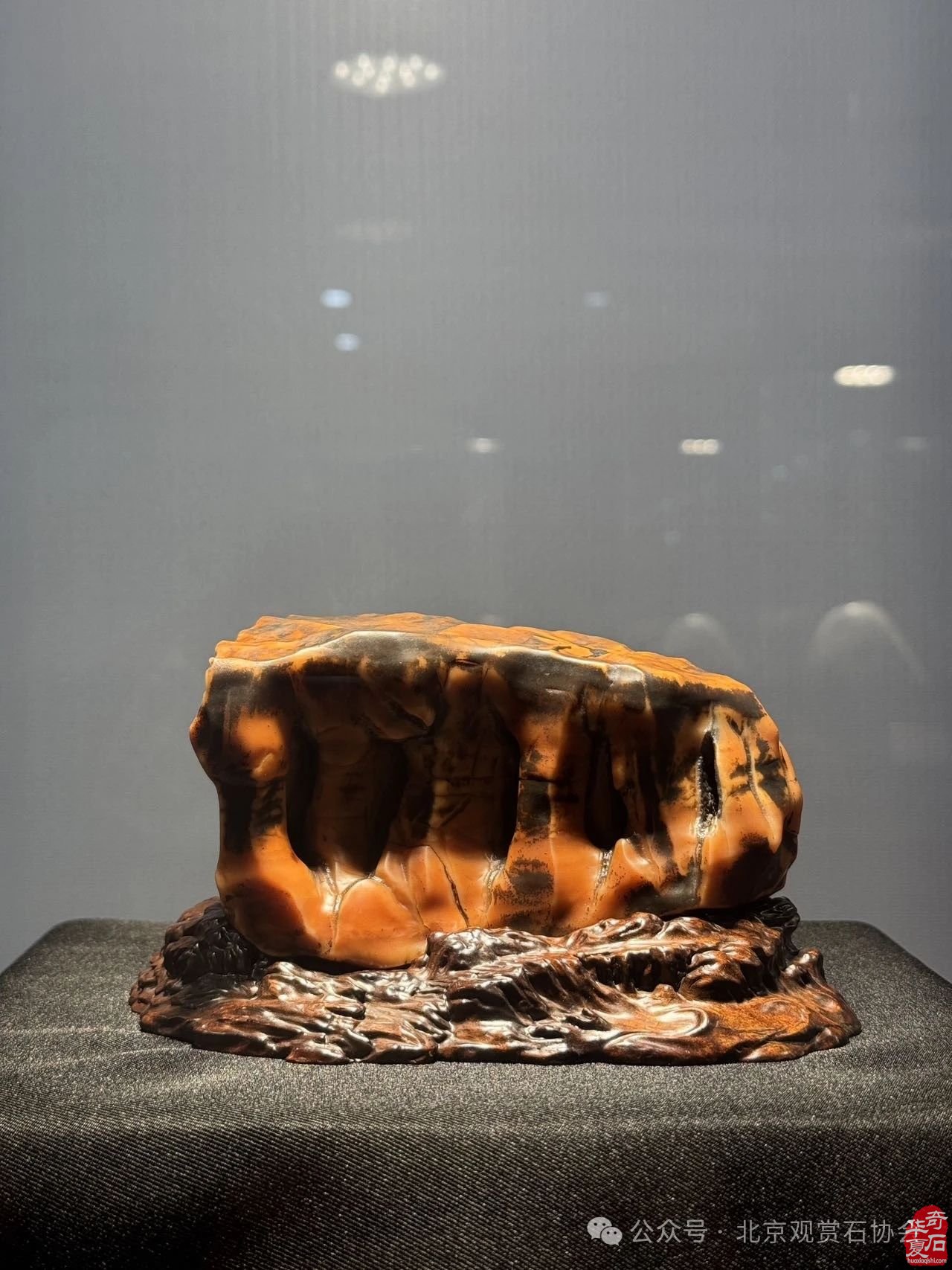 2024中国·湾区陈村名石艺术展“石魂”奖金奖欣赏