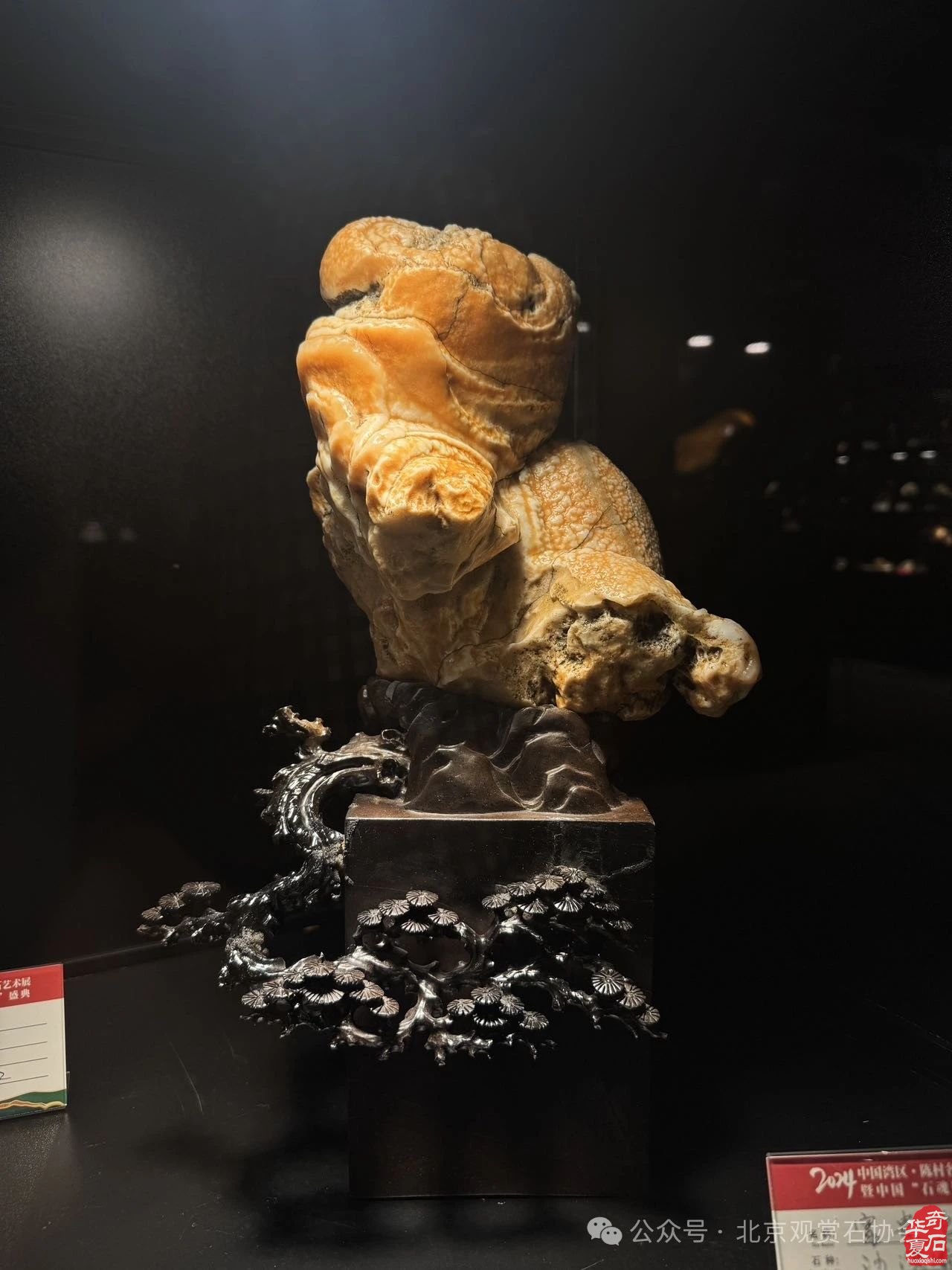 2024中国·湾区陈村名石艺术展“石魂”奖金奖欣赏
