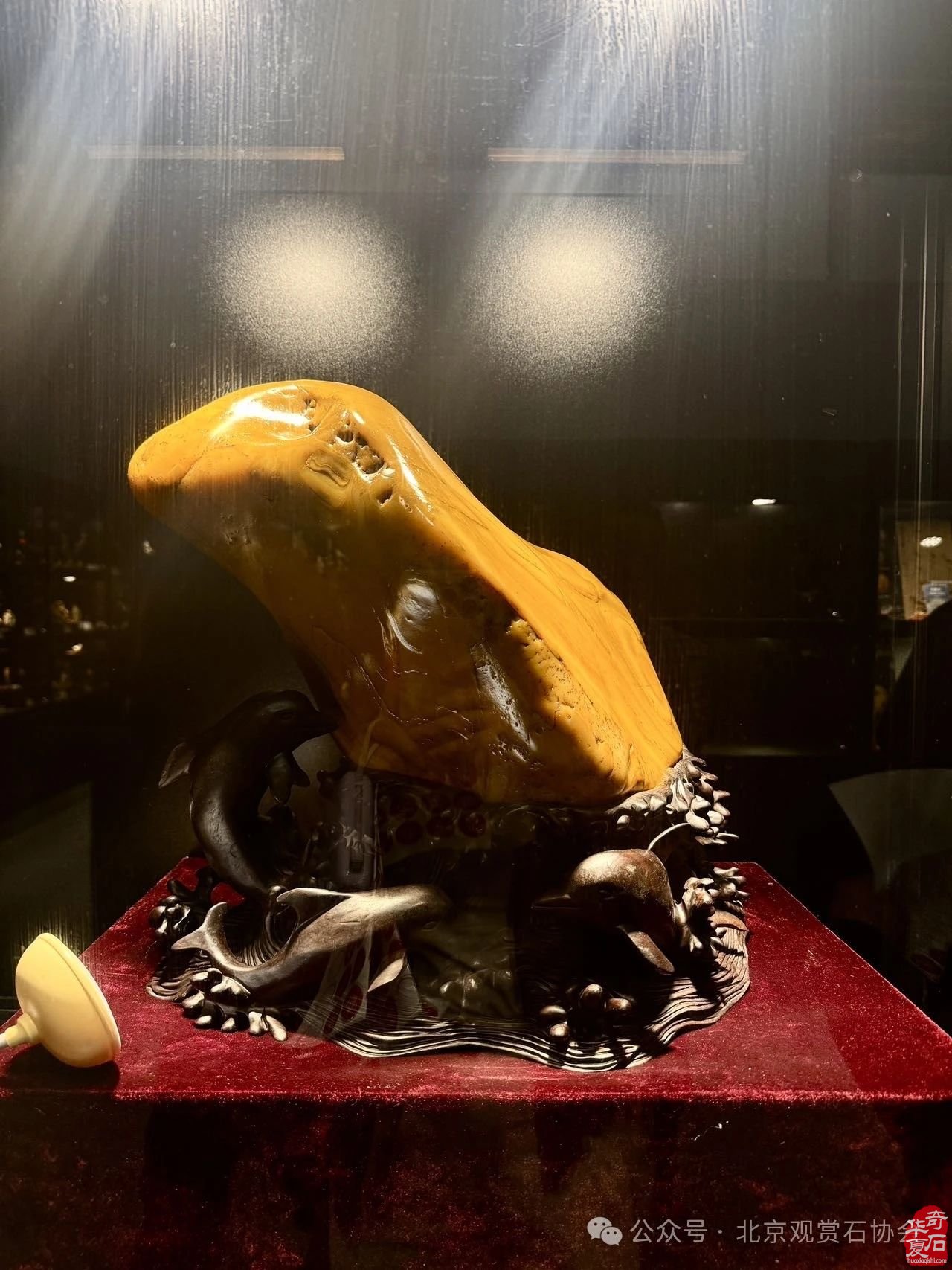 2024中国·湾区陈村名石艺术展“石魂”奖金奖欣赏