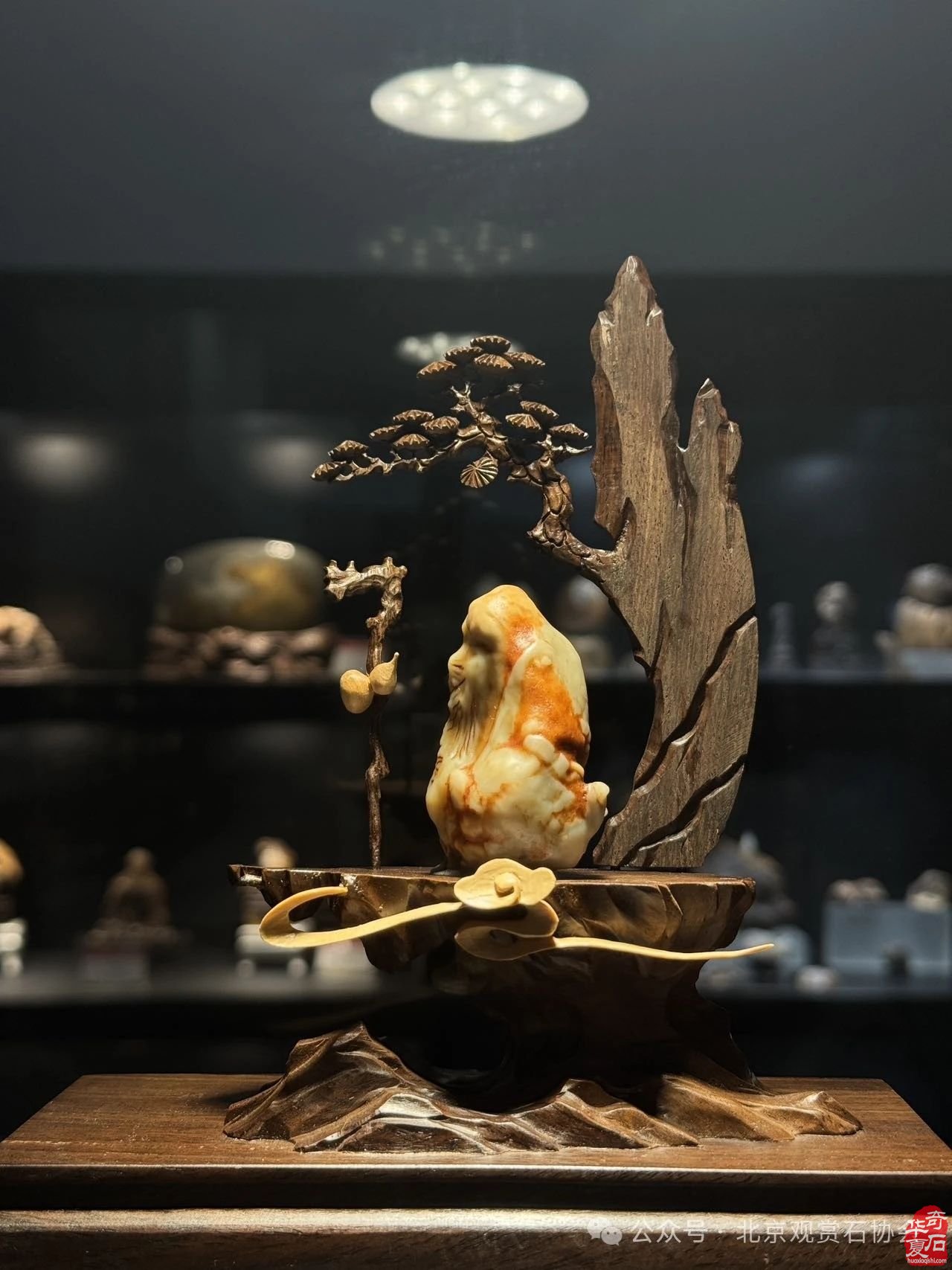 2024中国·湾区陈村名石艺术展“石魂”奖金奖欣赏