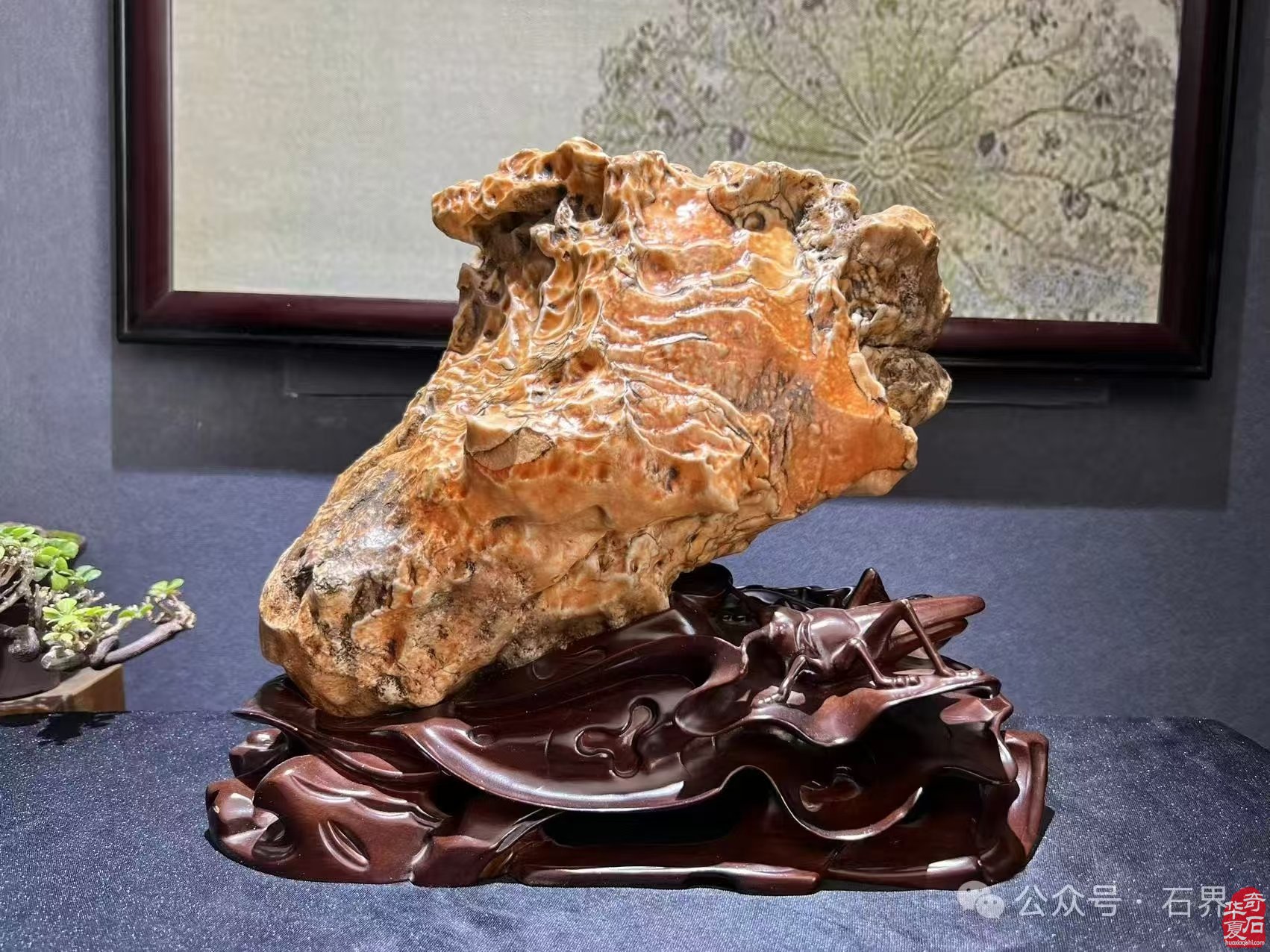 巴彦淖尔赏石沙龙跨年博览会（1月8日—1月15日）