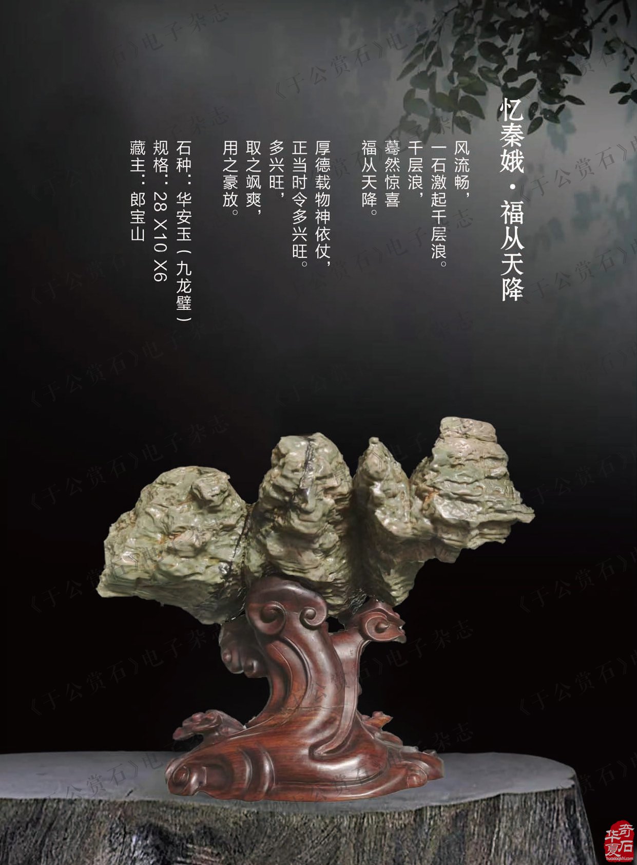 《于公赏石》带你去看洛阳新安黄河石文化博物馆