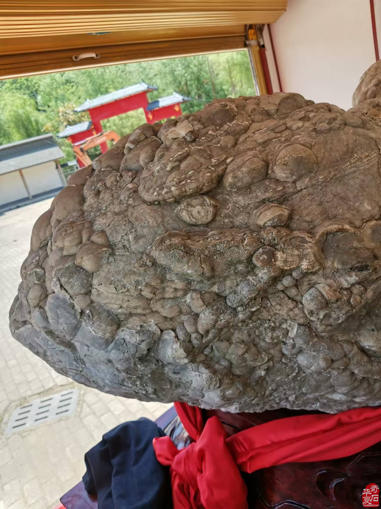 天佑中华奇石上古神兽貔貅现世