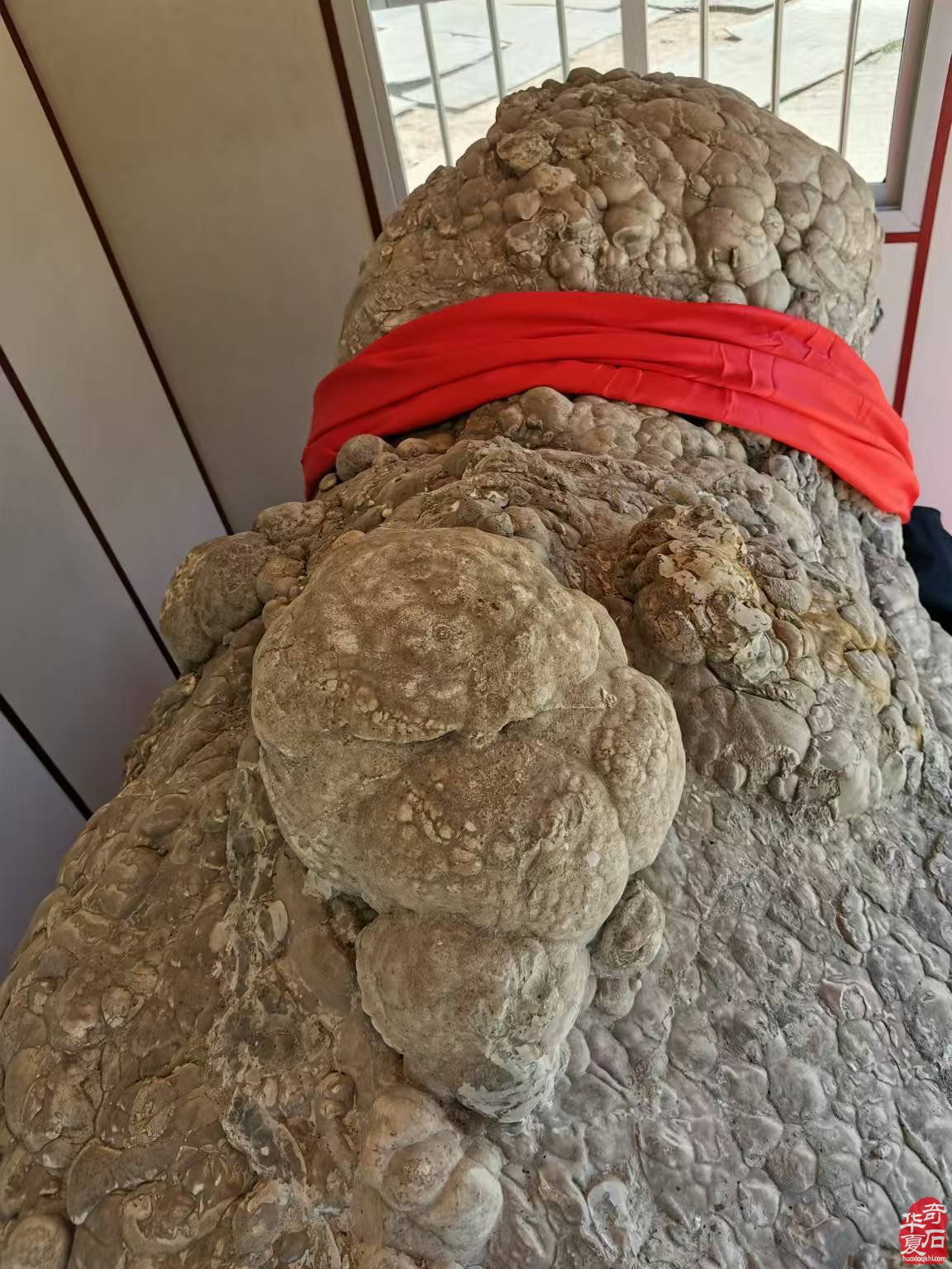 天佑中华奇石上古神兽貔貅现世