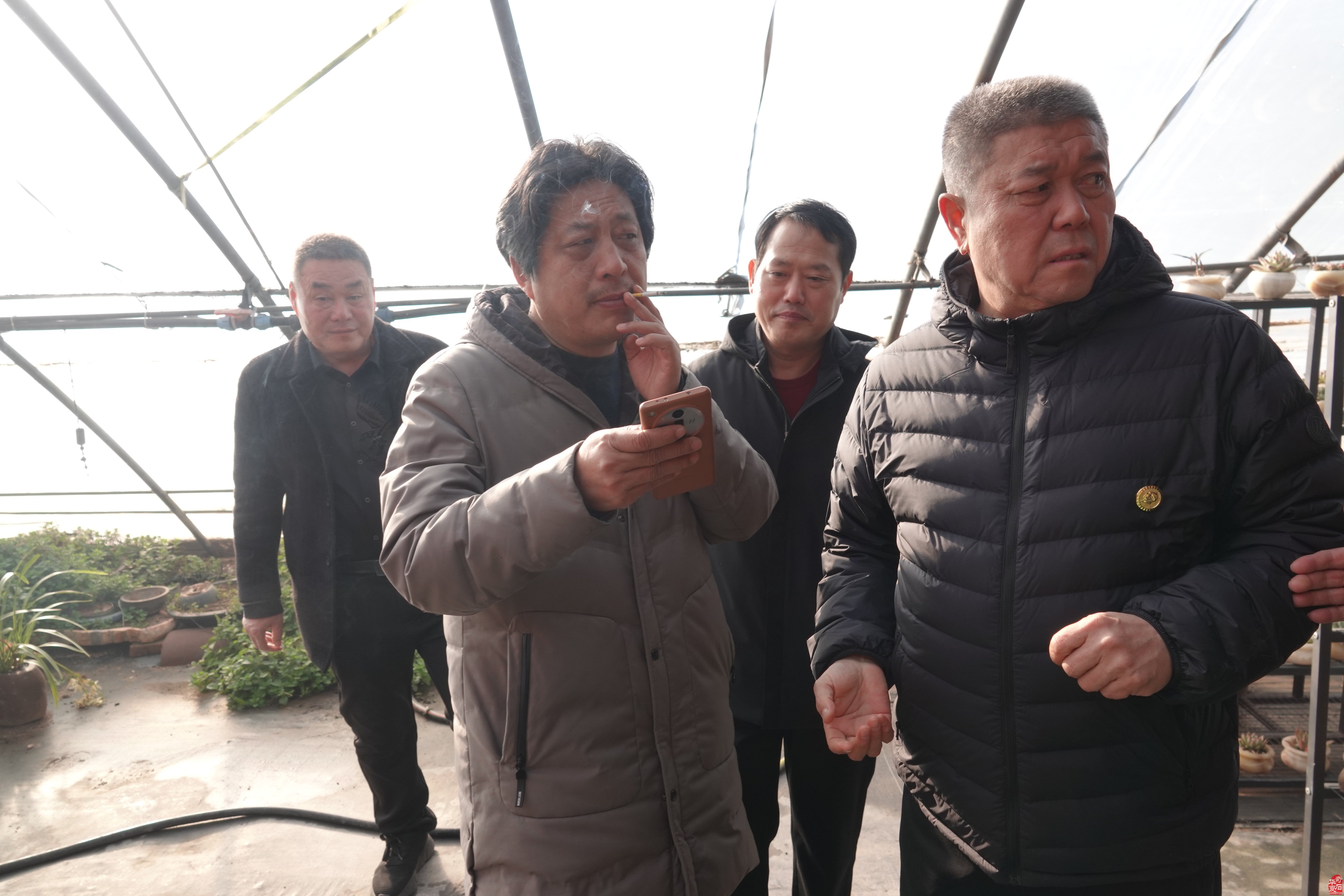 河南省观赏石协会在平顶山举行副会长单位揭牌仪式