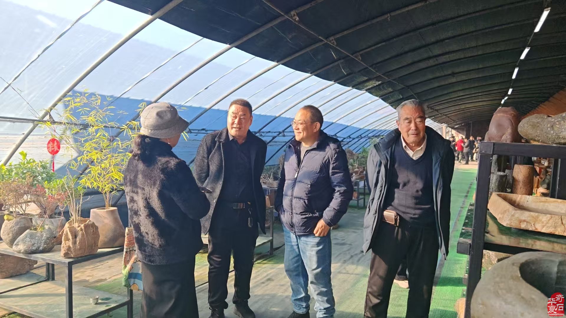 河南省观赏石协会在平顶山举行副会长单位揭牌仪式