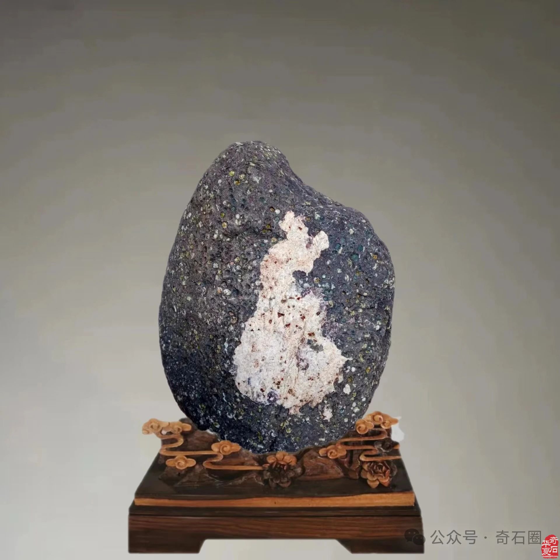 岁末赏蕴含着世间万物之灵气的奇石