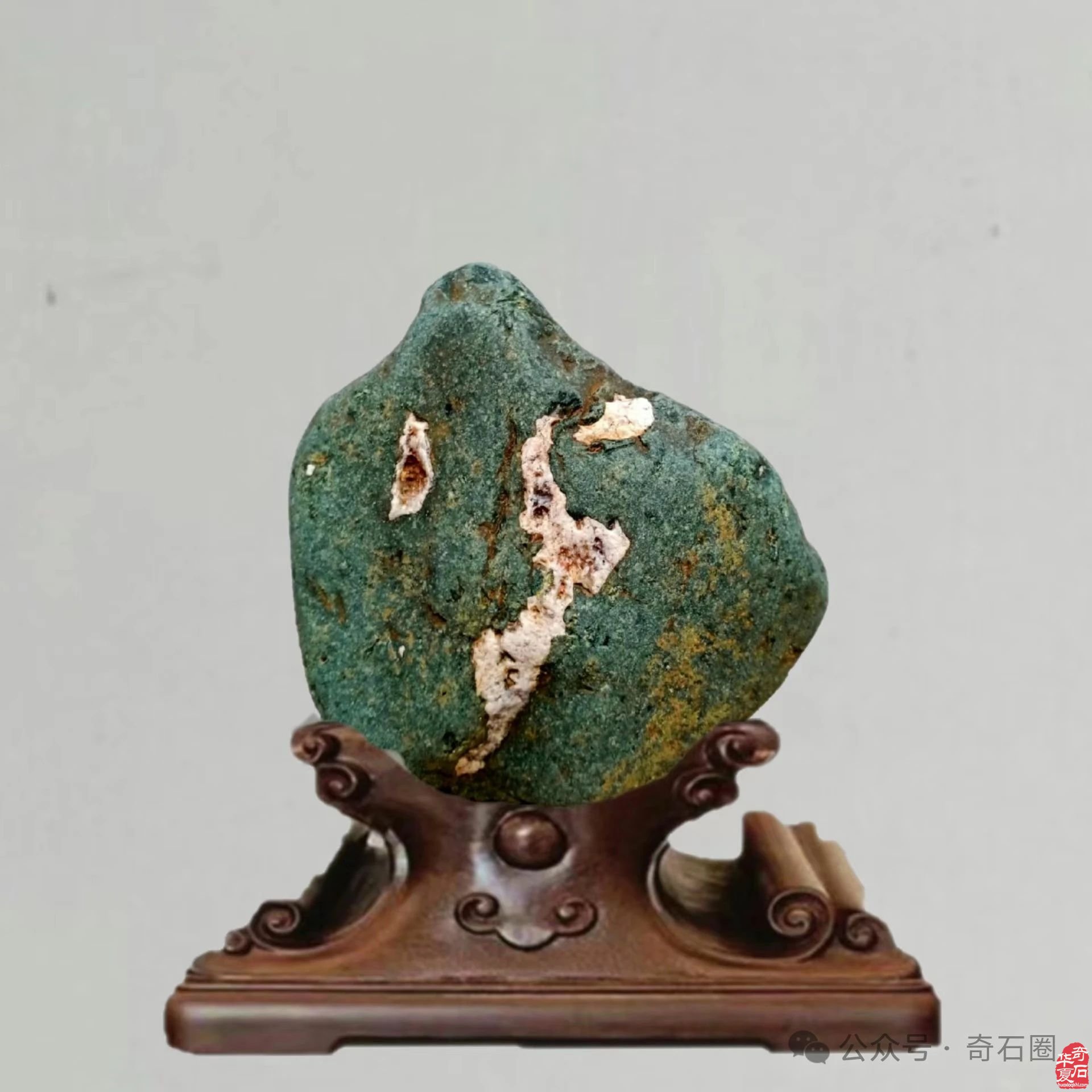 岁末赏蕴含着世间万物之灵气的奇石
