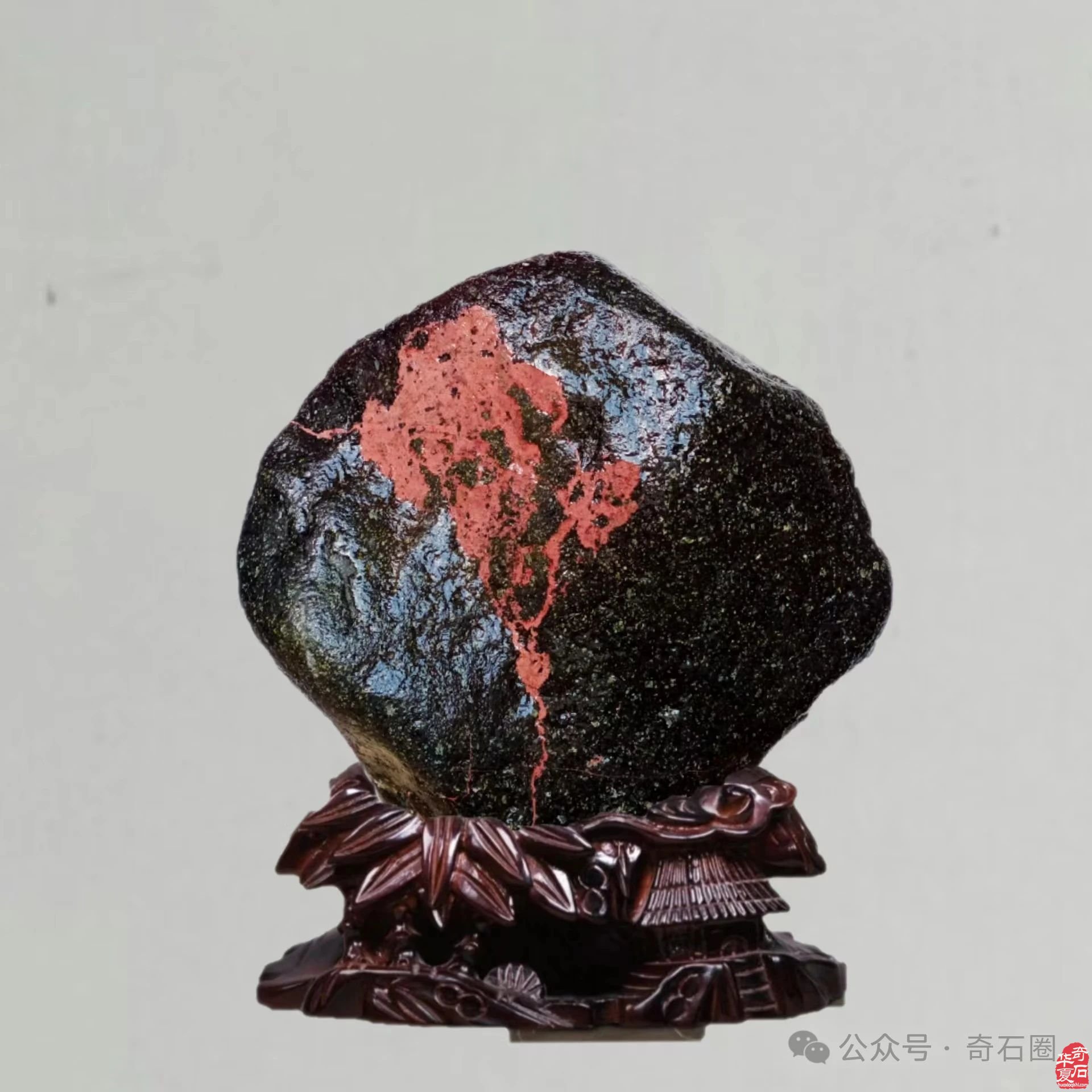 岁末赏蕴含着世间万物之灵气的奇石
