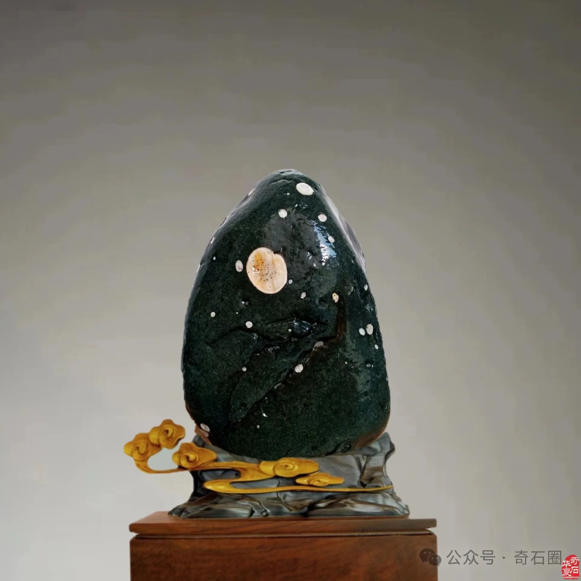 岁末赏蕴含着世间万物之灵气的奇石