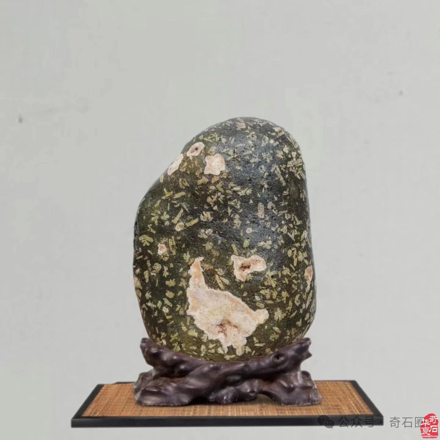 岁末赏蕴含着世间万物之灵气的奇石