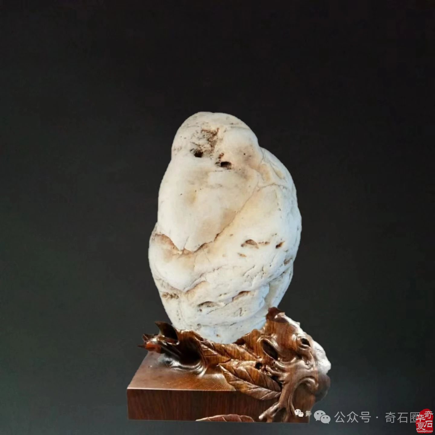 岁末赏蕴含着世间万物之灵气的奇石