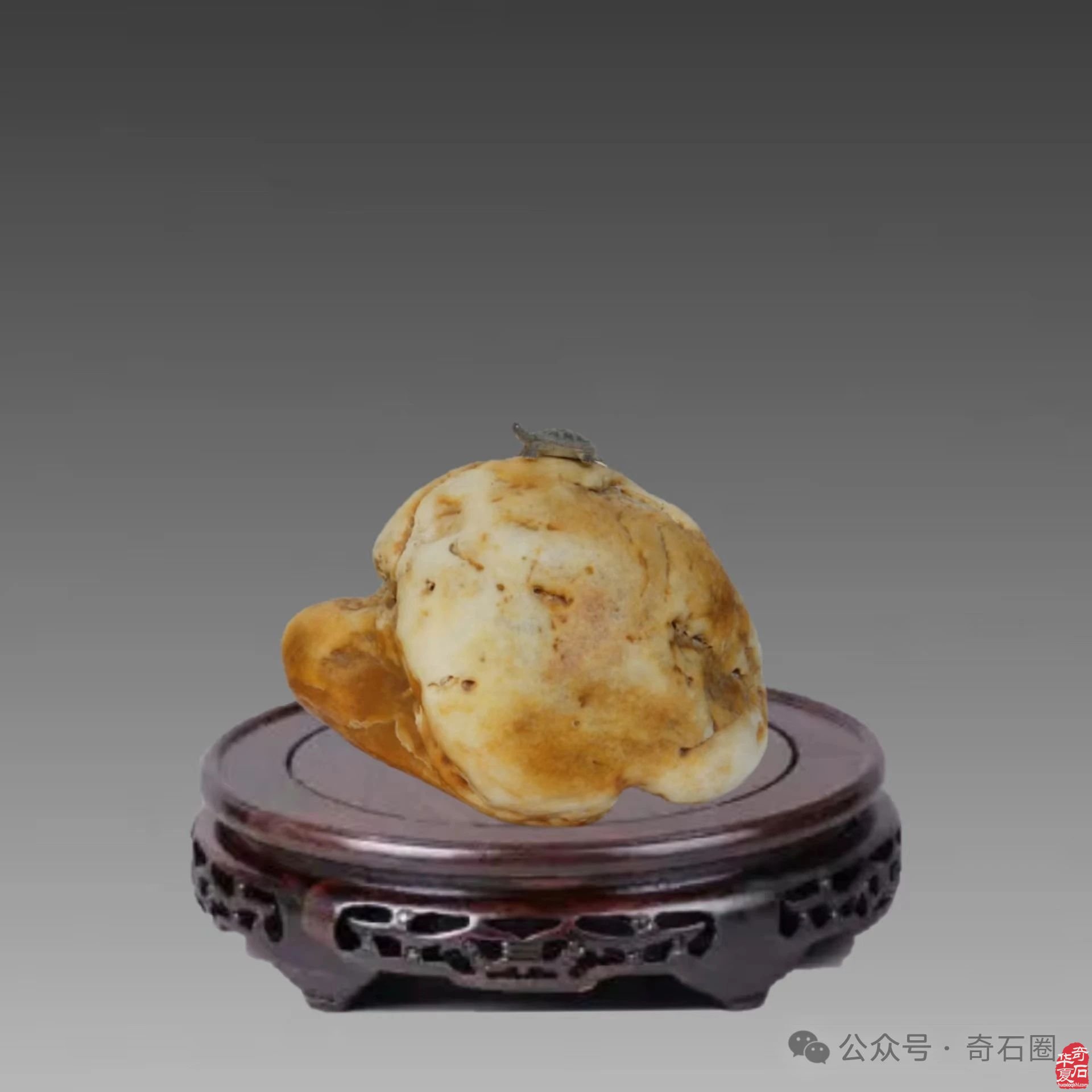 岁末赏蕴含着世间万物之灵气的奇石