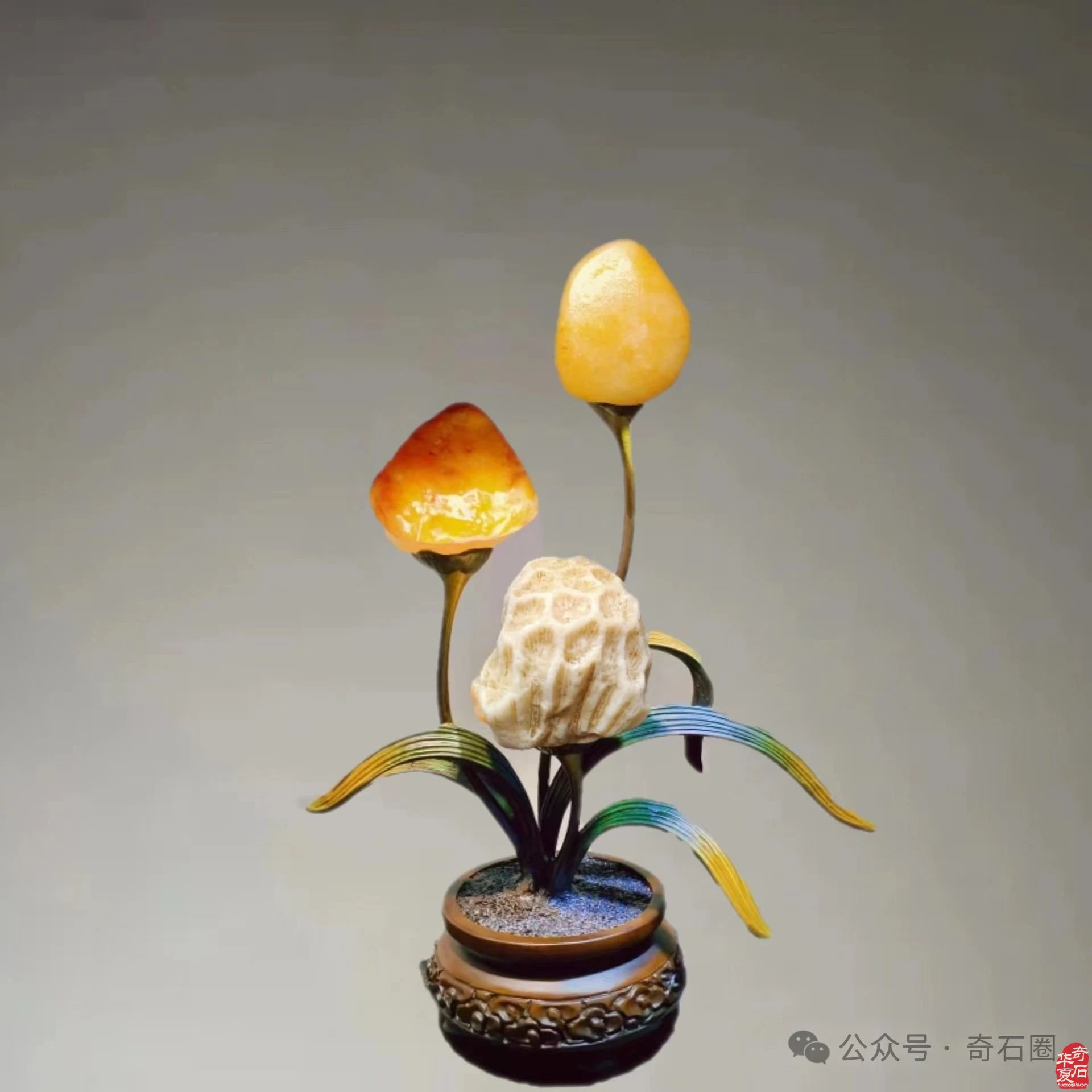 岁末赏蕴含着世间万物之灵气的奇石