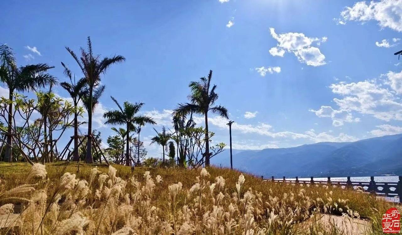 2025’首届云南·巧家赏石文化旅游节暨“白鹤滩杯”赏石艺术民间国宝特色展(附:特色展报名流程)