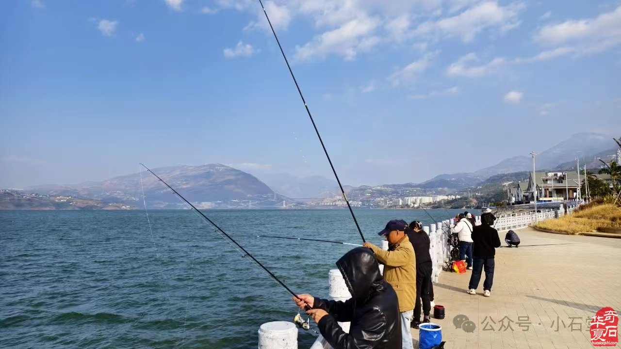 2025’首届云南·巧家赏石文化旅游节暨“白鹤滩杯”赏石艺术民间国宝特色展(附:特色展报名流程)