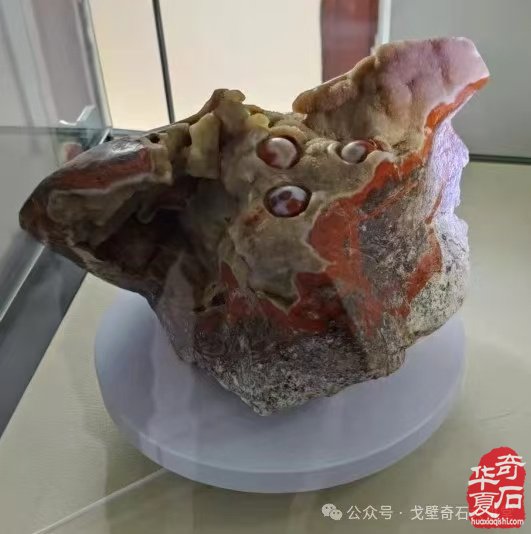 北票战国红博物馆获省文物局设立备案