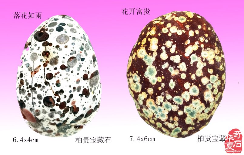 精诚所至 美石开花
