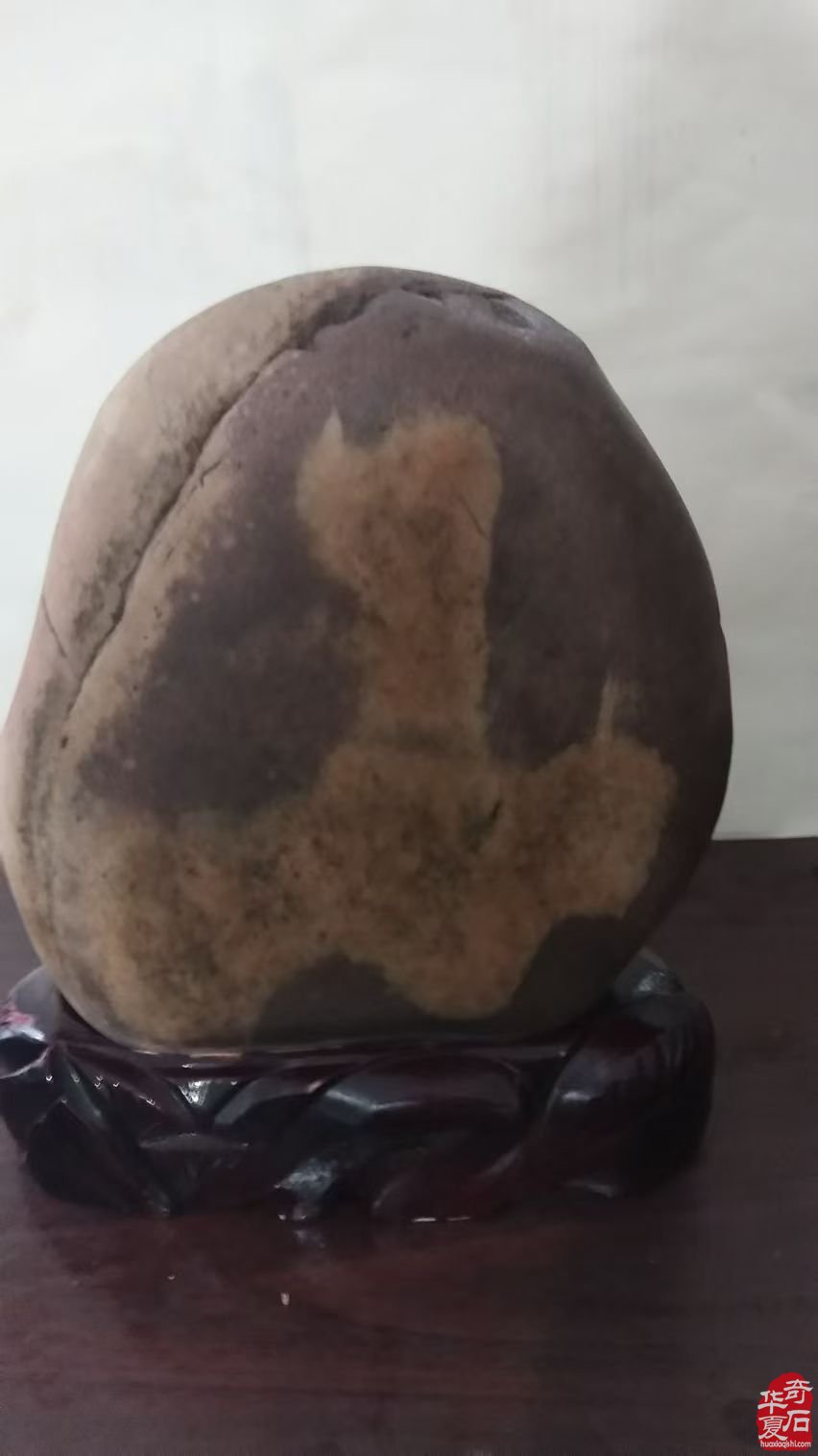 洛阳赏石界有这么一位备受尊敬的人物