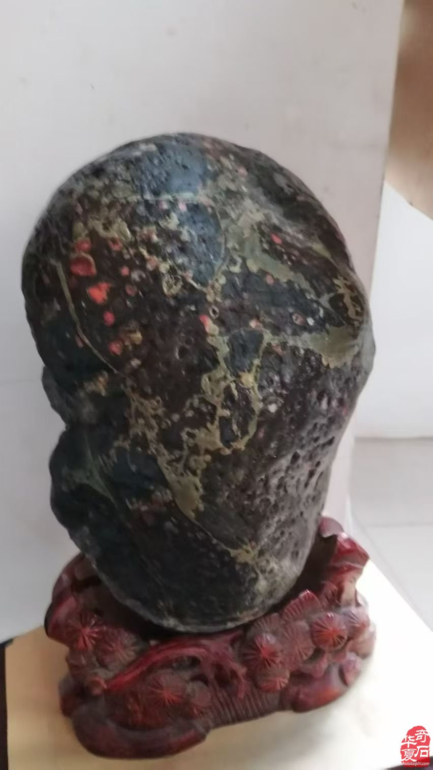 洛阳赏石界有这么一位备受尊敬的人物