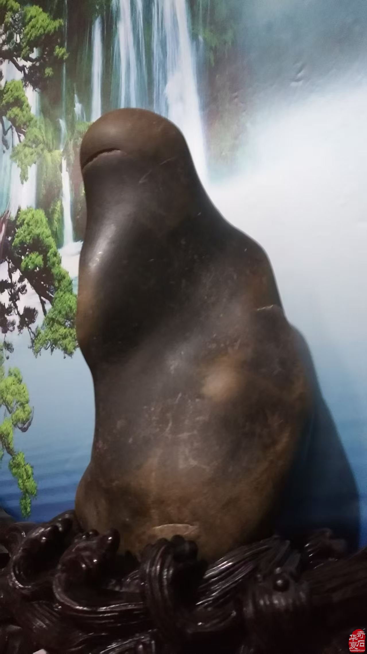 洛阳赏石界有这么一位备受尊敬的人物