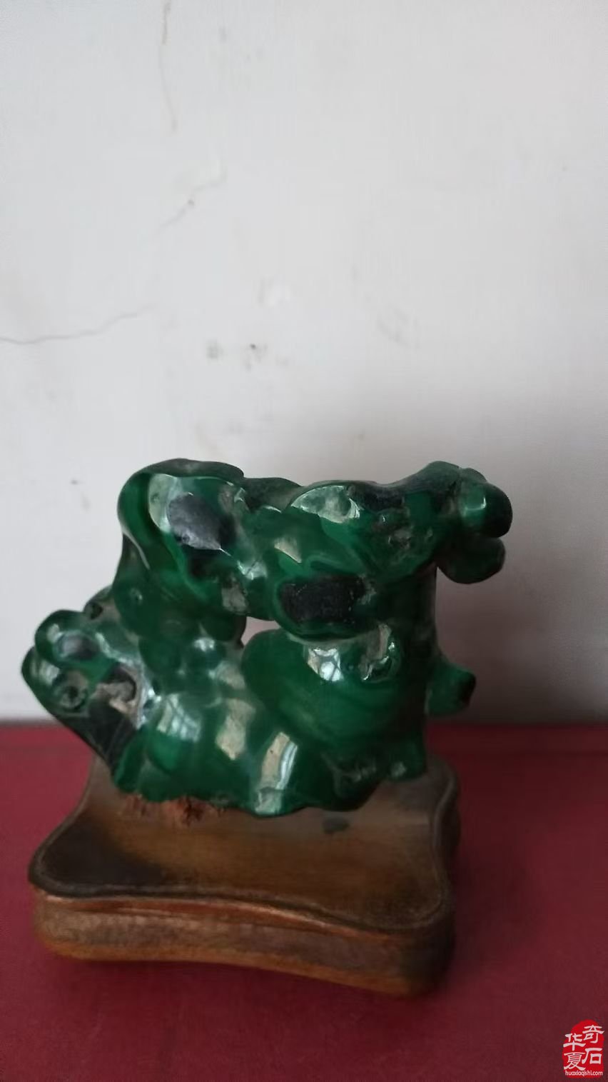 洛阳赏石界有这么一位备受尊敬的人物