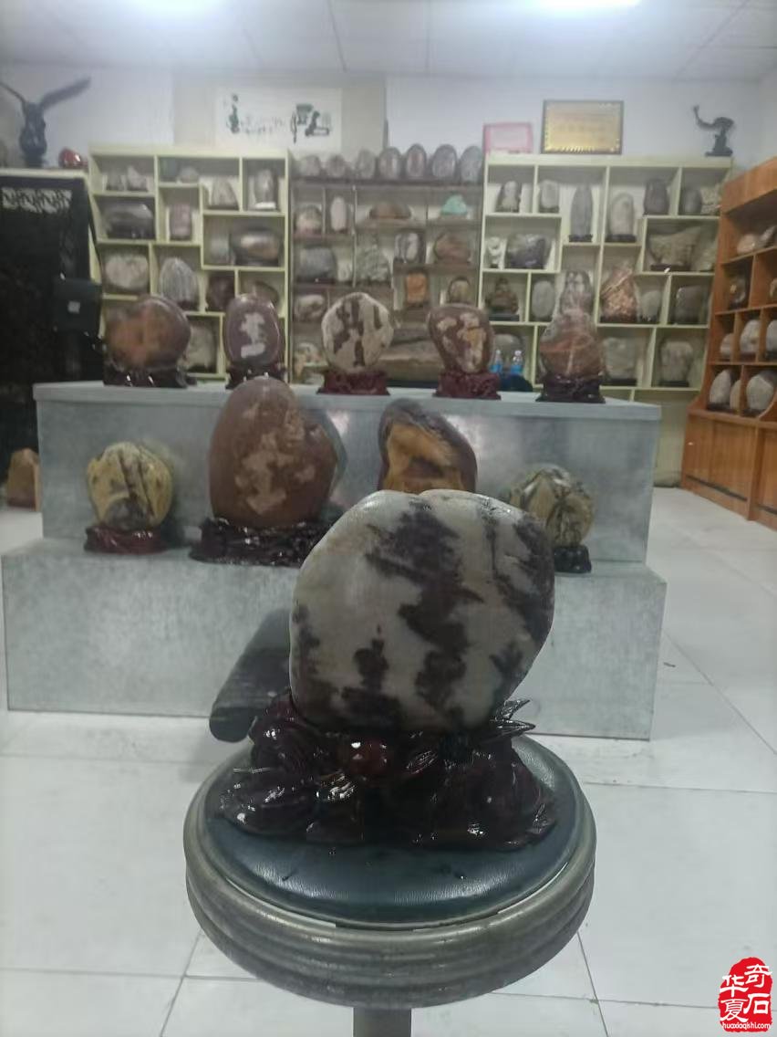 洛阳赏石界有这么一位备受尊敬的人物