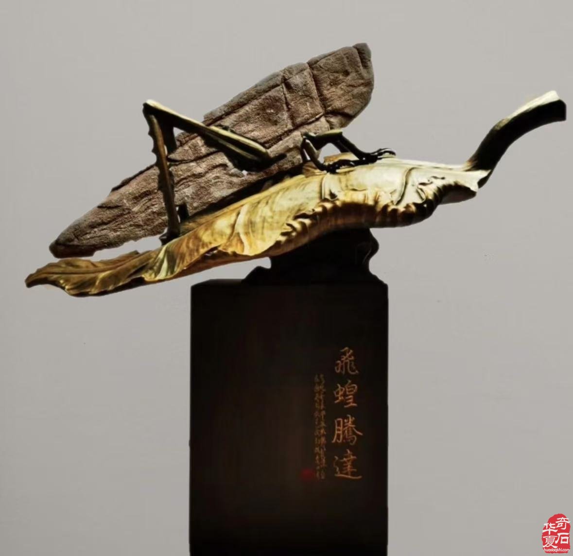 河南济源符号纹石带来的思考