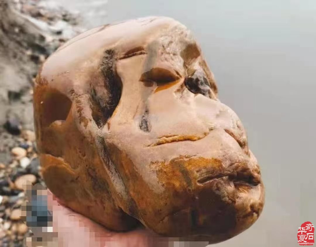 执着赏石人军旅华章《热血与荣耀的铭刻》