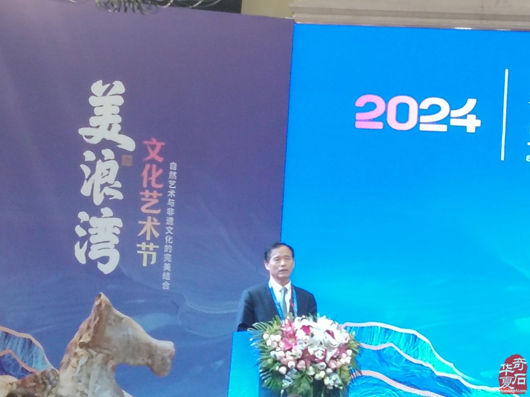 海峡两岸（海南）首届观赏石精品展隆重开幕