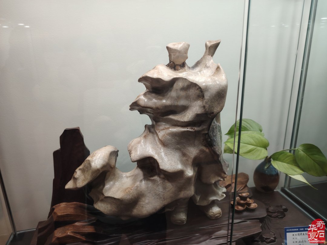 海峡两岸（海南）首届观赏石精品展隆重开幕