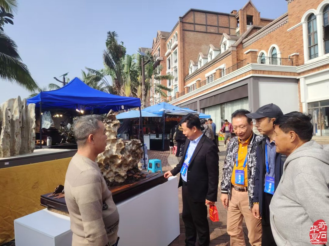 海峡两岸（海南）首届观赏石精品展隆重开幕