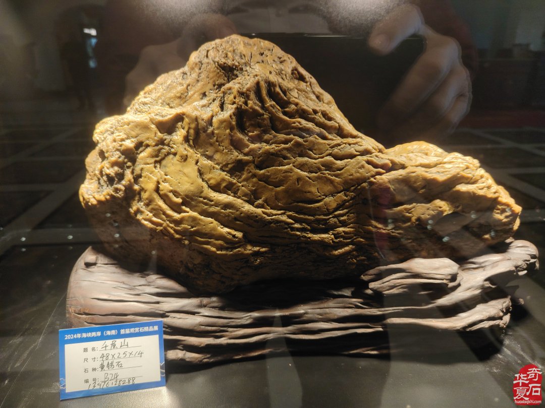 海峡两岸（海南）首届观赏石精品展隆重开幕