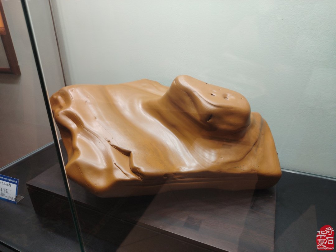 海峡两岸（海南）首届观赏石精品展隆重开幕