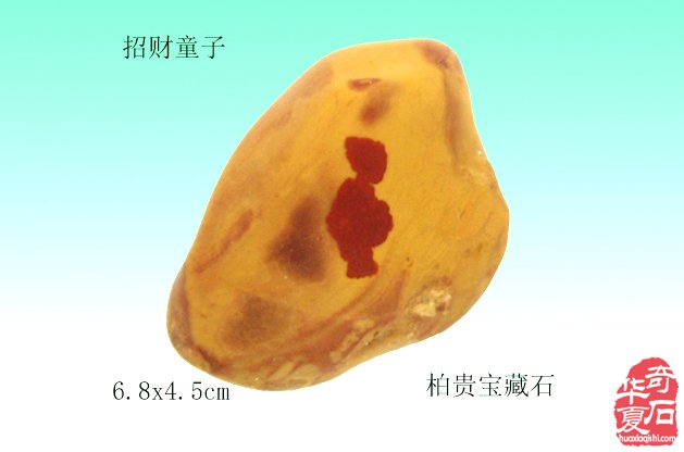 石中人物展风采，闪亮登场祝新年