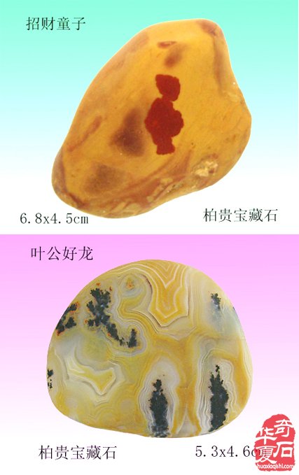 石中人物展风采，闪亮登场祝新年