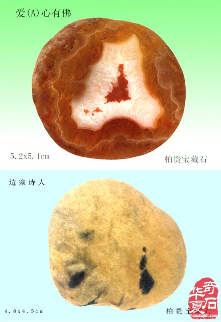 石中人物展风采，闪亮登场祝新年