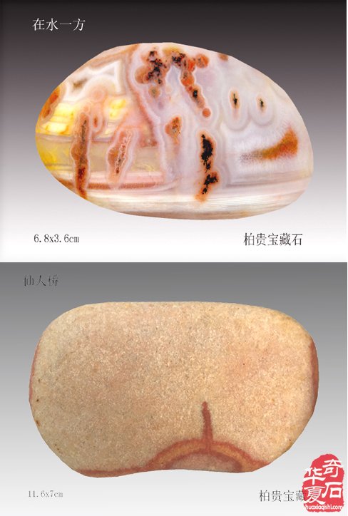 石中人物展风采，闪亮登场祝新年