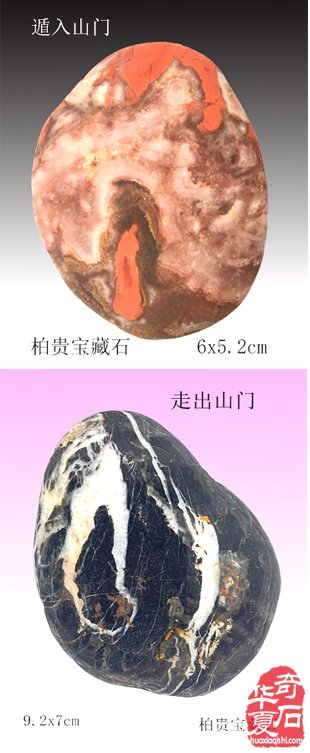 石中人物展风采，闪亮登场祝新年