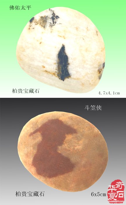 石中人物展风采，闪亮登场祝新年