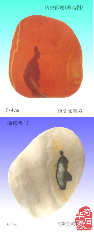 石中人物展风采，闪亮登场祝新年