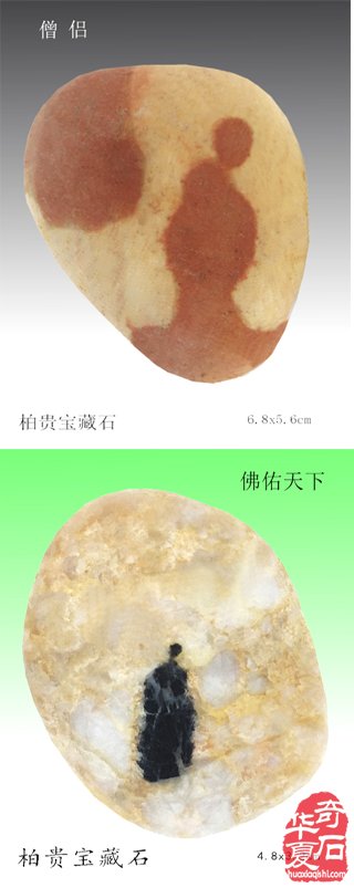 石中人物展风采，闪亮登场祝新年